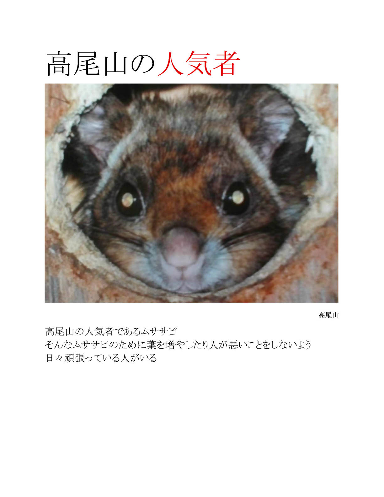 高尾山の人気者