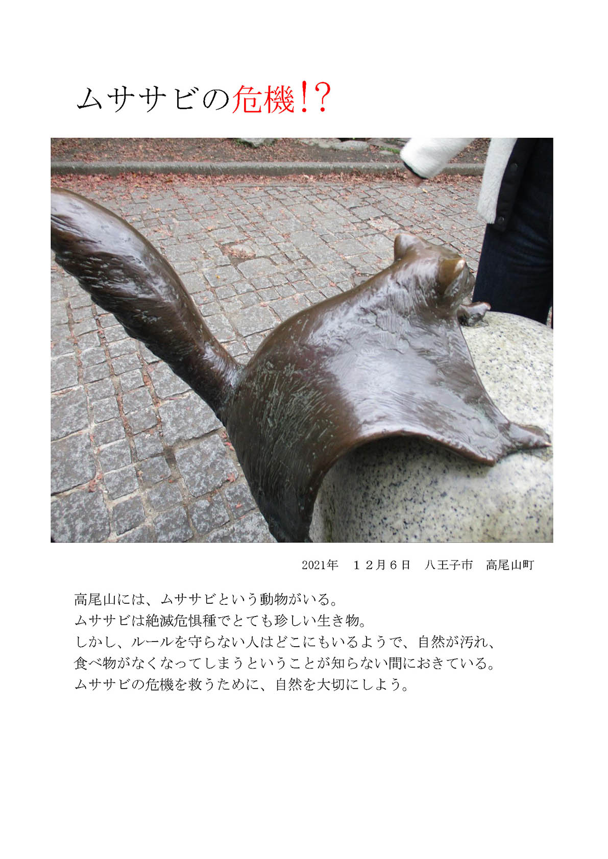 ムササビの危機！？